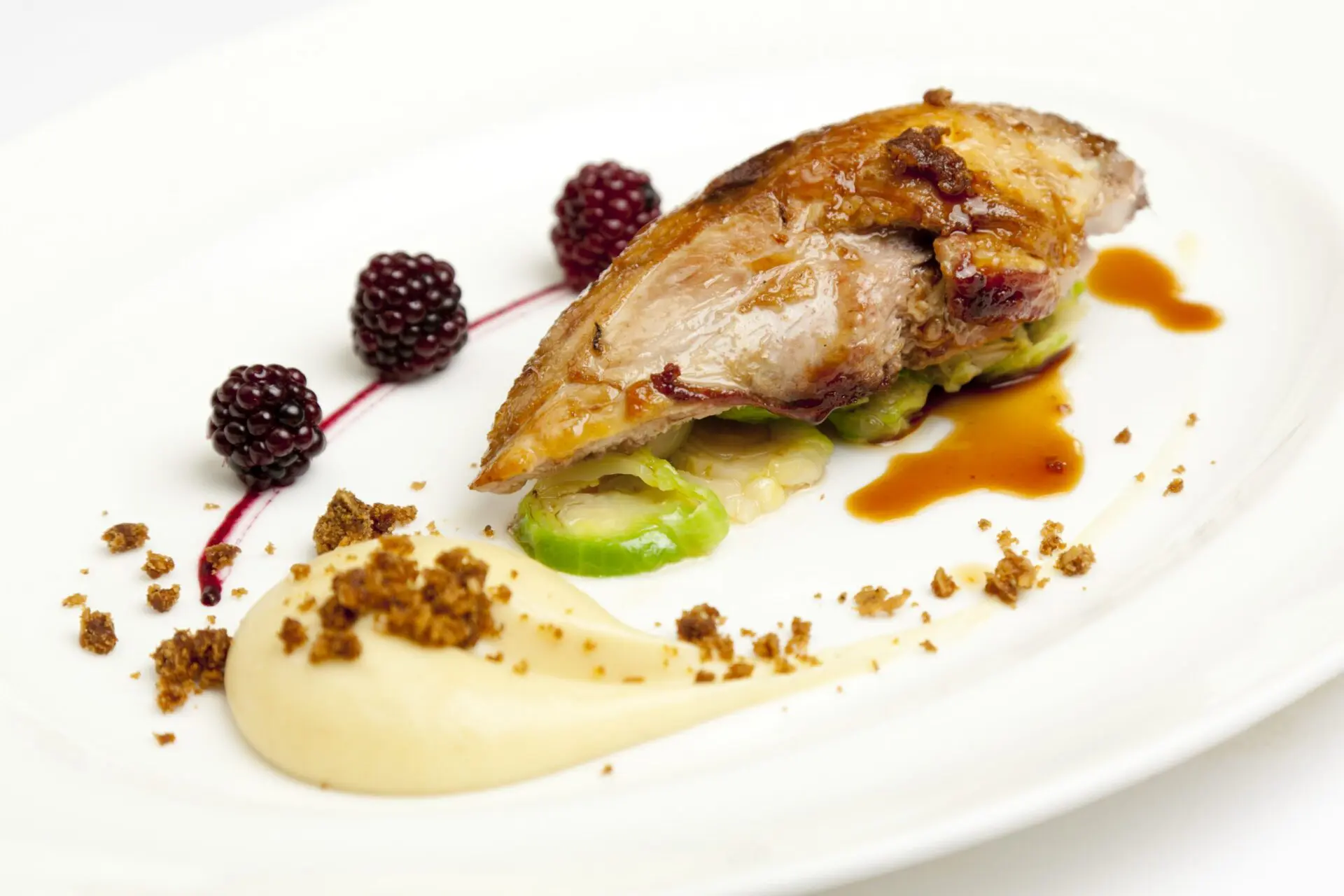 pheasant